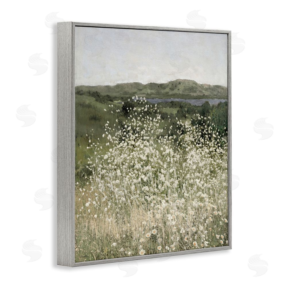 Amber Sterling Sunlit Meadow of White Daisies Gray Framed Giclee Wall Art Print