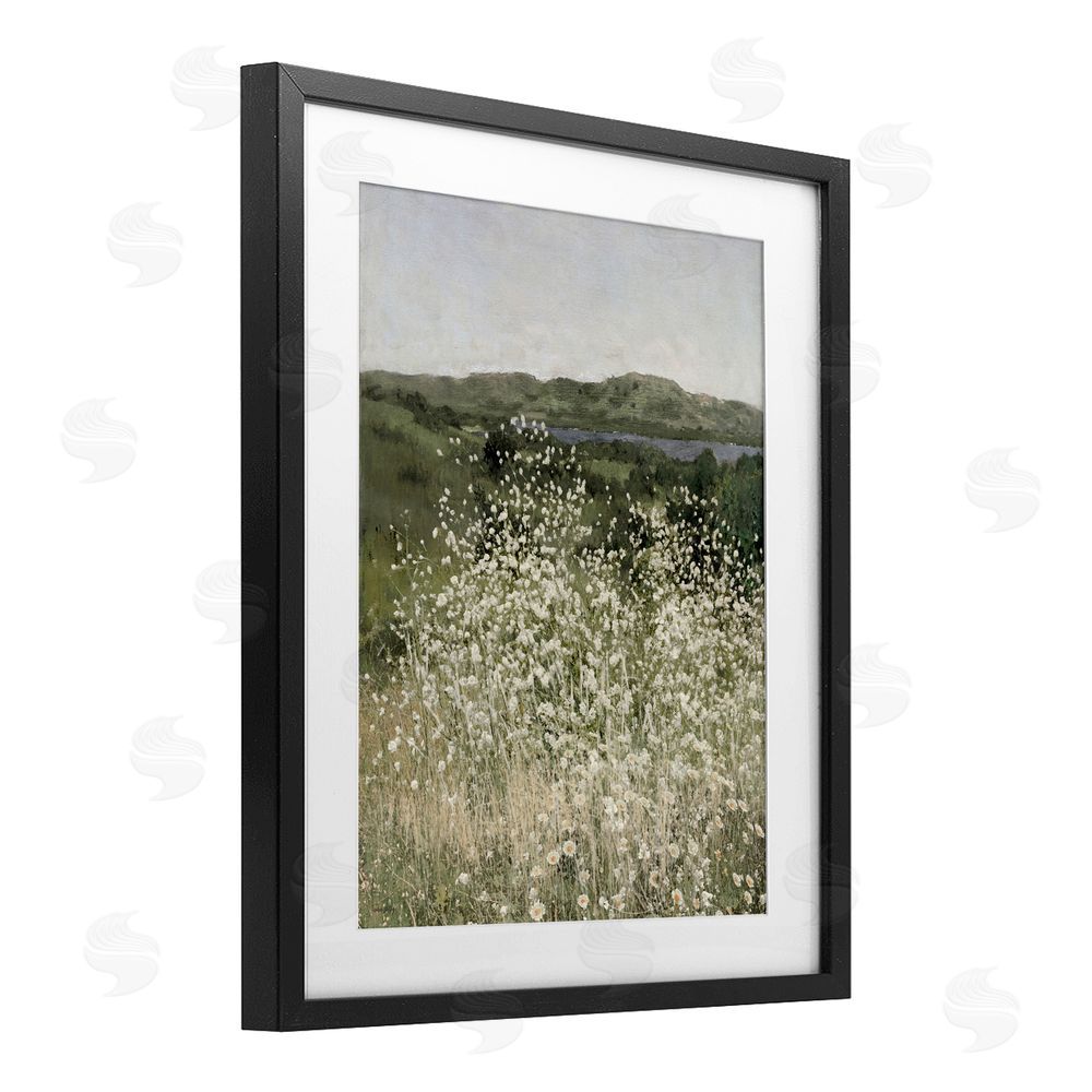 Amber Sterling Sunlit Meadow of White Daisies Black Framed Print Under Glass with White Mat Wall Art