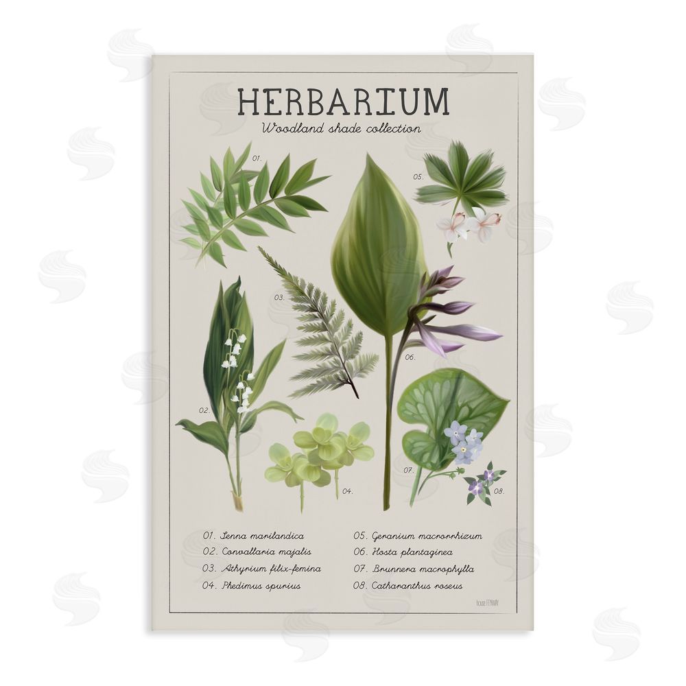 Penny Lane Publishing Herbarium Woodland Shade Collection Canvas Wall Art Print