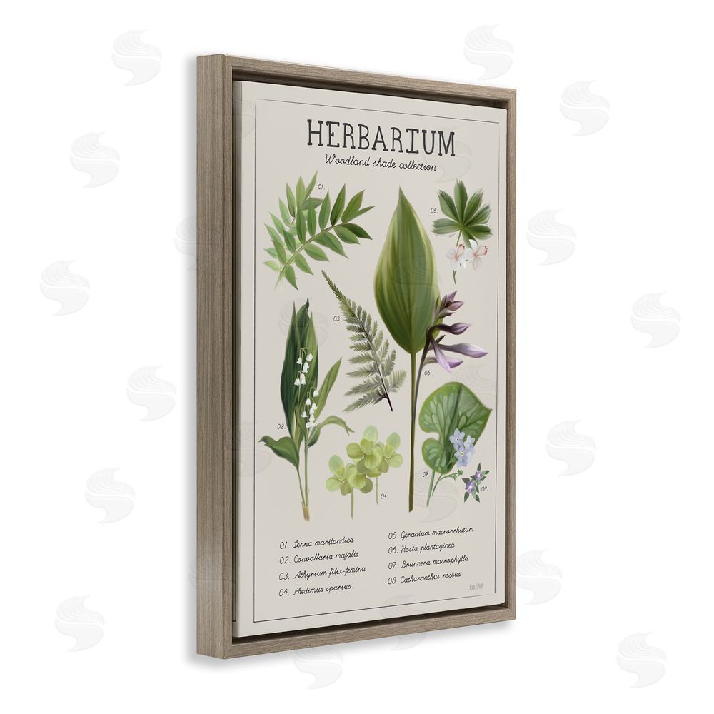 Penny Lane Publishing Herbarium Woodland Shade Collection Brown Floating Frame Canvas Wall Art Print