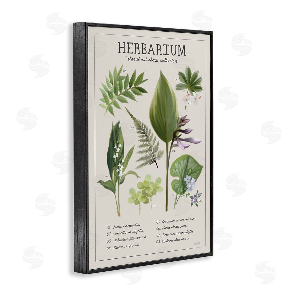Penny Lane Publishing Herbarium Woodland Shade Collection Black Framed Giclee Wall Art Print