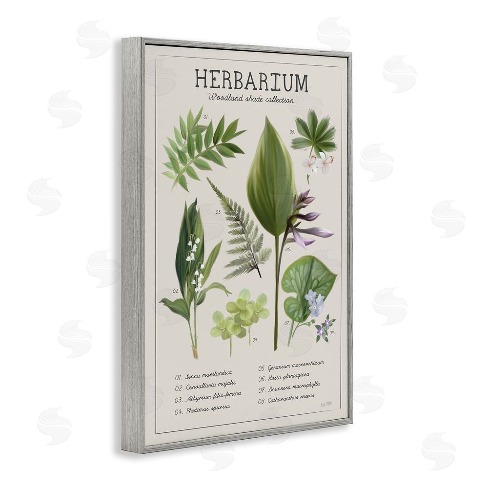 Penny Lane Publishing Herbarium Woodland Shade Collection Gray Framed Giclee Wall Art Print