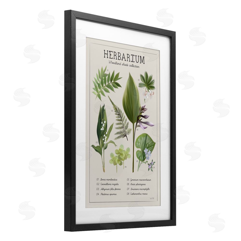 Penny Lane Publishing Herbarium Woodland Shade Collection Black Framed Print Under Glass Wall Art