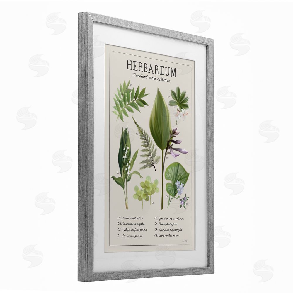 Penny Lane Publishing Herbarium Woodland Shade Collection Gray Framed Print Under Glass Wall Art