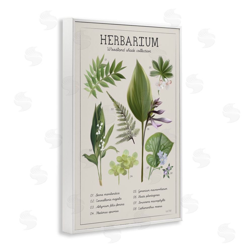 Penny Lane Publishing Herbarium Woodland Shade Collection White Framed Giclee Wall Art Print