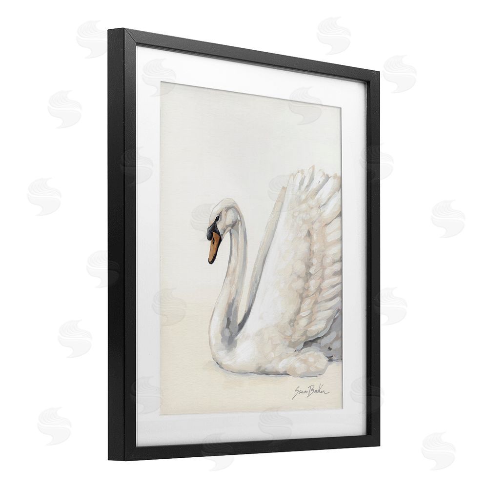 Sara Baker White Swan in Repose Black Framed Print Under Glass with White Mat Wall Art