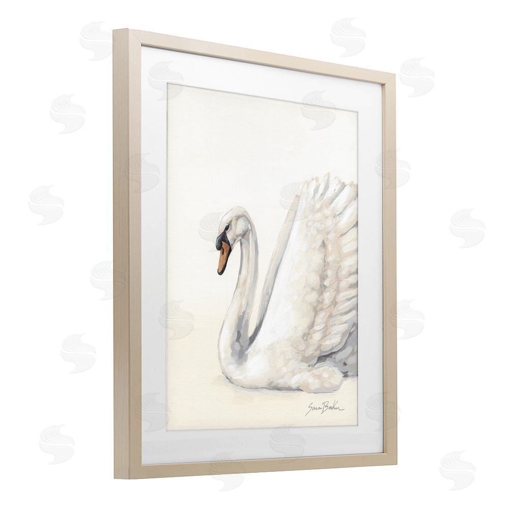 Sara Baker White Swan in Repose Brown Framed Print Under Glass with White Mat Wall Art