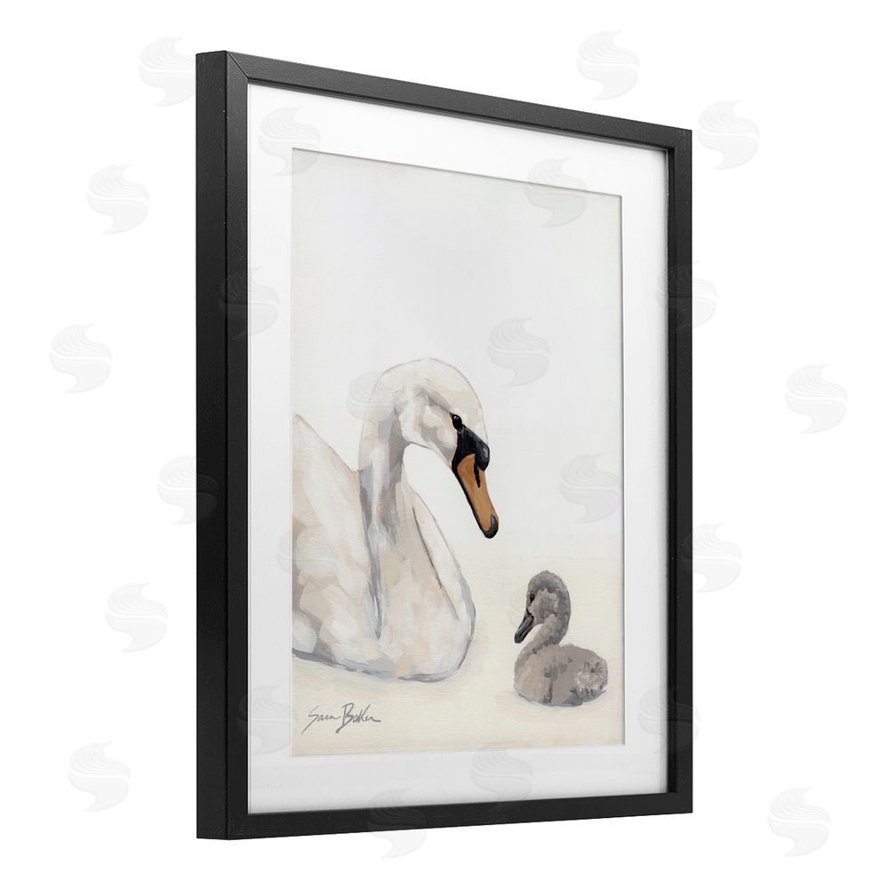 Sara Baker Mother Swan & Cygnet Black Framed Print Under Glass Wall Art