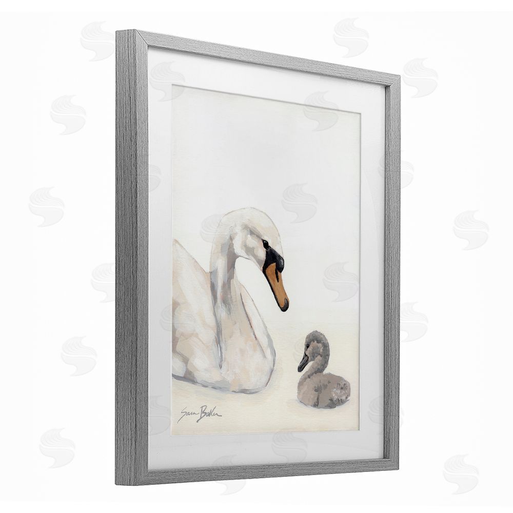 Sara Baker Mother Swan & Cygnet Gray Framed Print Under Glass Wall Art