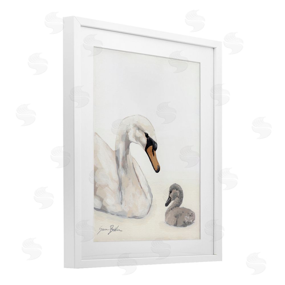 Sara Baker Mother Swan & Cygnet White Framed Print Under Glass Wall Art