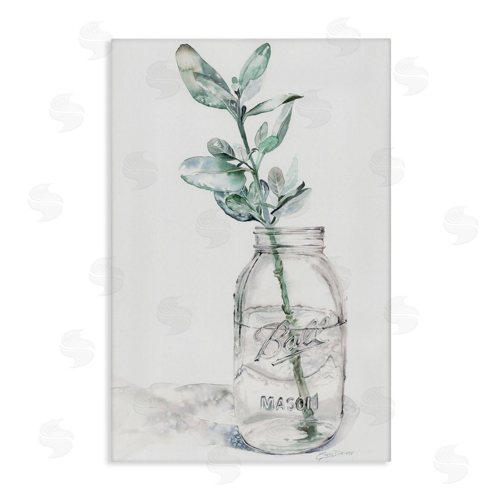 Cady Driver Minimal Herb in Glass Jar Canvas Wall Art Print