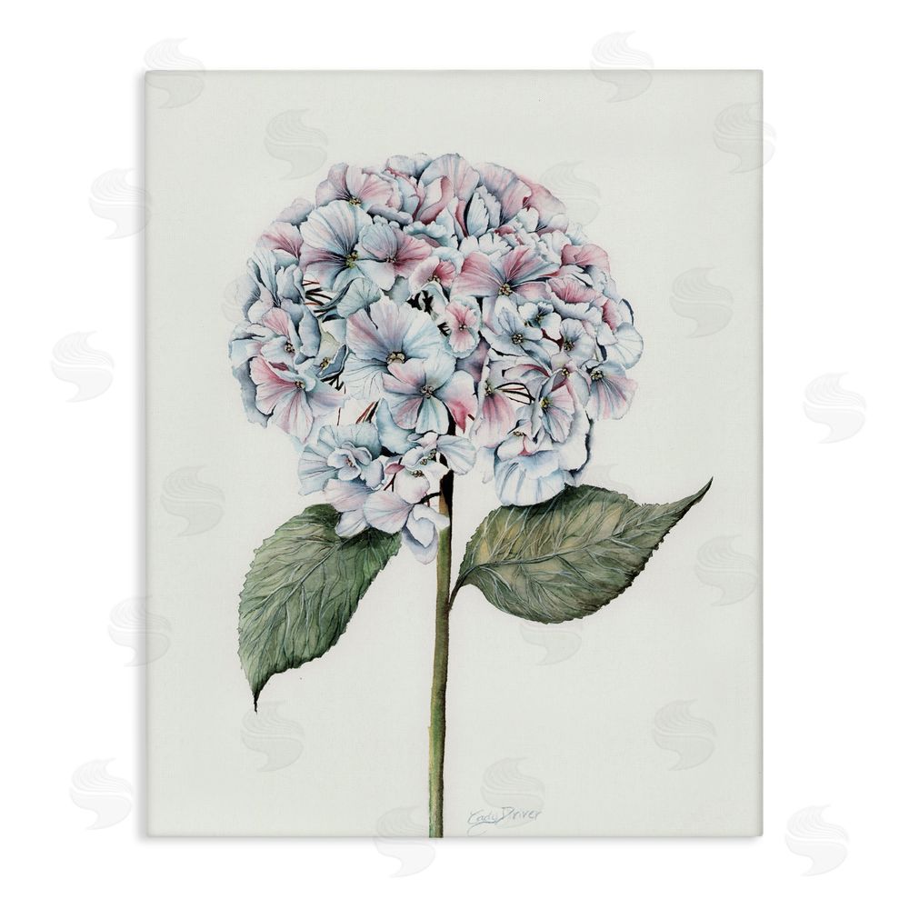 Cady Driver Round Hydrangea Bulb Canvas Wall Art Print