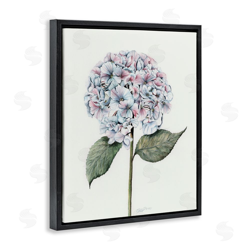 Cady Driver Round Hydrangea Bulb Black Floating Frame Canvas Wall Art Print
