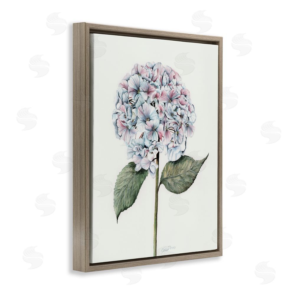 Cady Driver Round Hydrangea Bulb Brown Floating Frame Canvas Wall Art Print