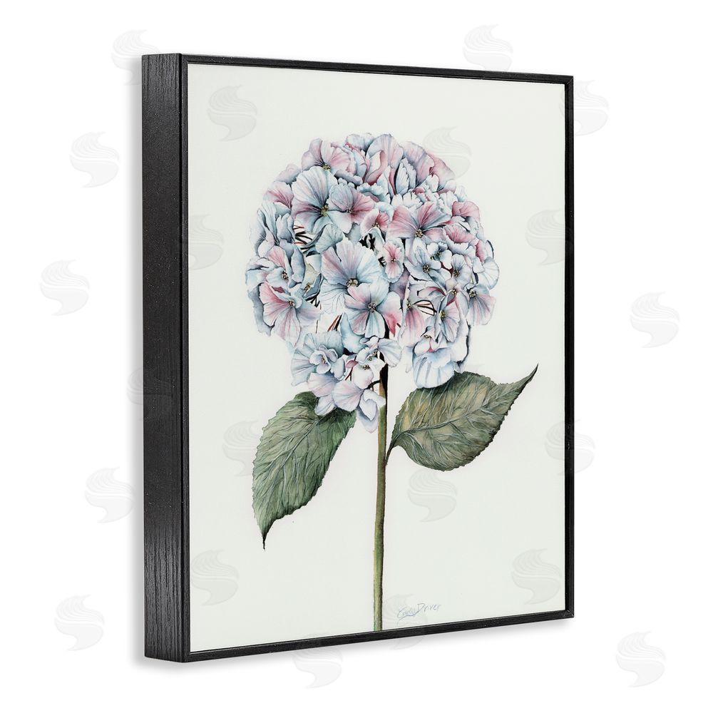 Cady Driver Round Hydrangea Bulb Black Framed Giclee Wall Art Print