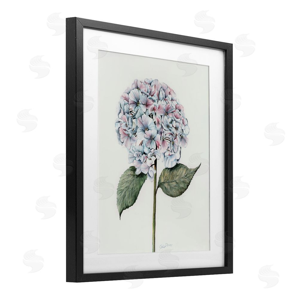 Cady Driver Round Hydrangea Bulb Black Framed Print Under Glass with White Mat Wall Art