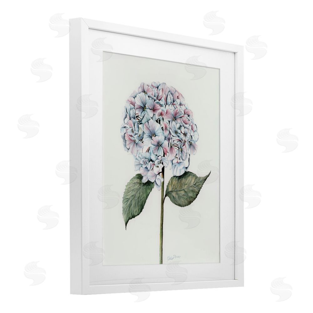 Cady Driver Round Hydrangea Bulb White Framed Print Under Glass with Mat Wall Art