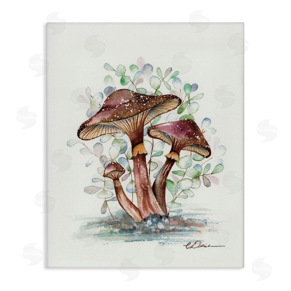 Cady Driver Earthy Fungi Mushrooms Canvas Wall Art Print