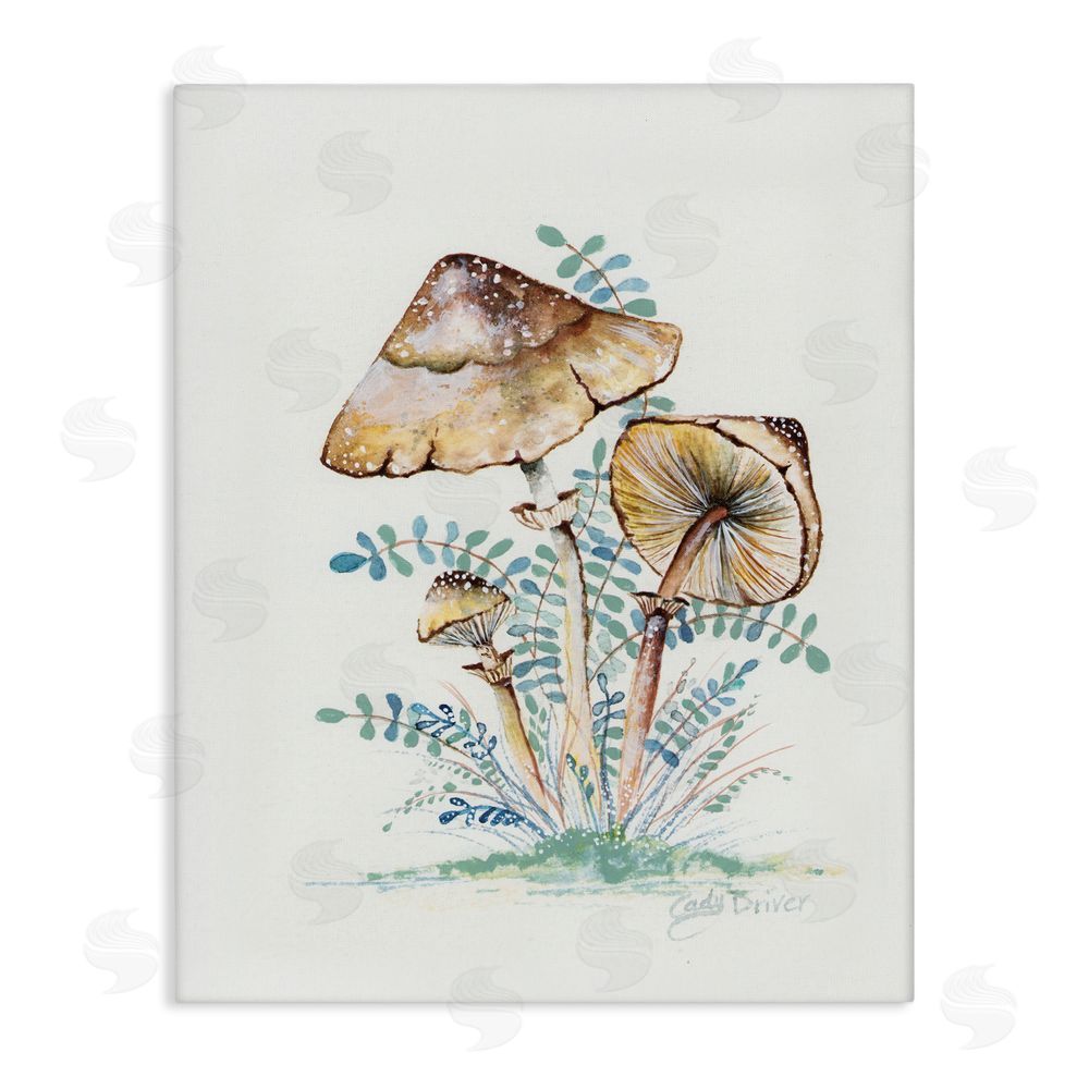 Cady Driver Natural Forest Mushrooms Trio Canvas Wall Art Print