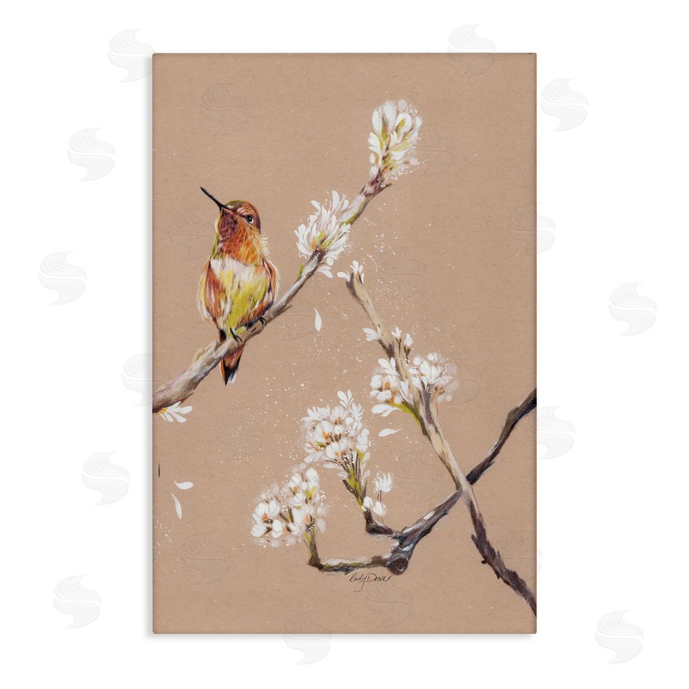Cady Driver Resting Hummingbird on Branch Canvas Wall Art Print