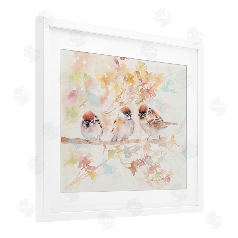 Cady Driver Trio of Birds on Watercolor Branch White Framed Print Under Glass with Mat Wall Art