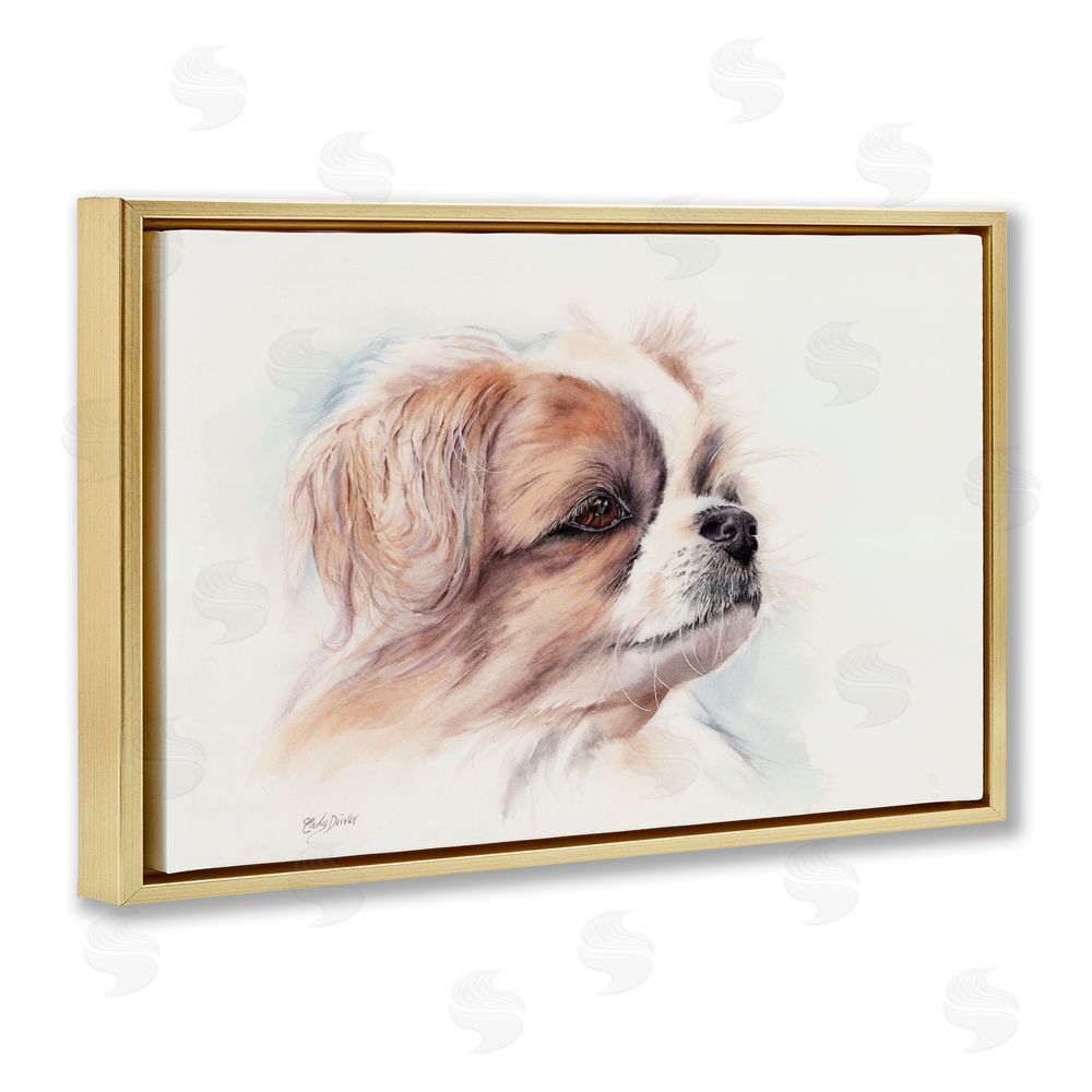 Cady Driver Expressive Dog Face Portrait Gold Floating Frame Canvas Wall Art Print