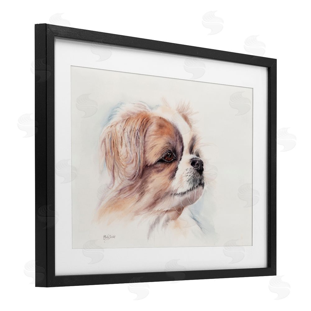Cady Driver Expressive Dog Face Portrait Black Framed Print Under Glass with White Mat Wall Art