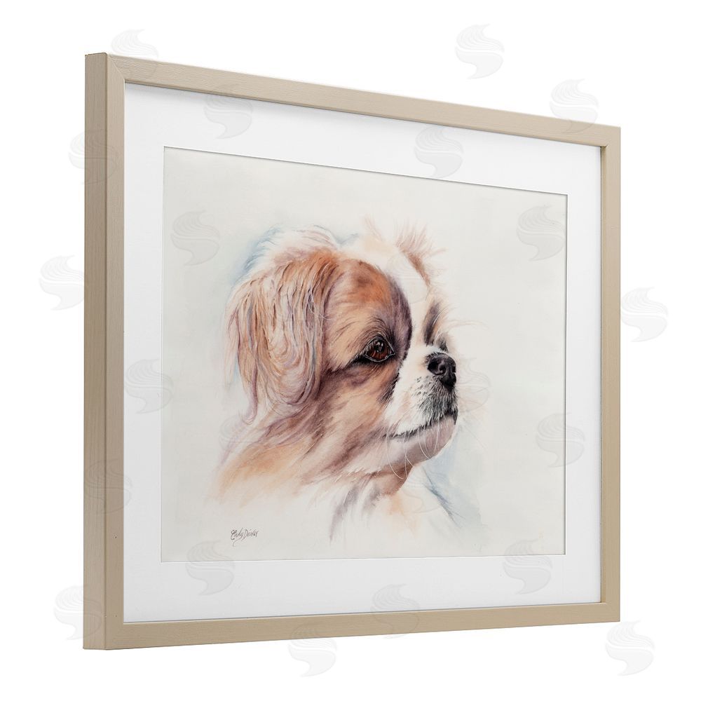 Cady Driver Expressive Dog Face Portrait Birch Framed Print Under Glass with White Mat Wall Art