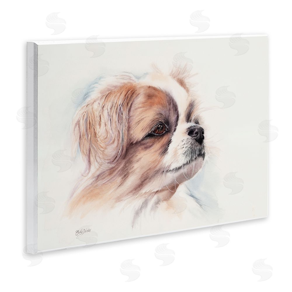 Cady Driver Expressive Dog Face Portrait Wall Plaque Art Print