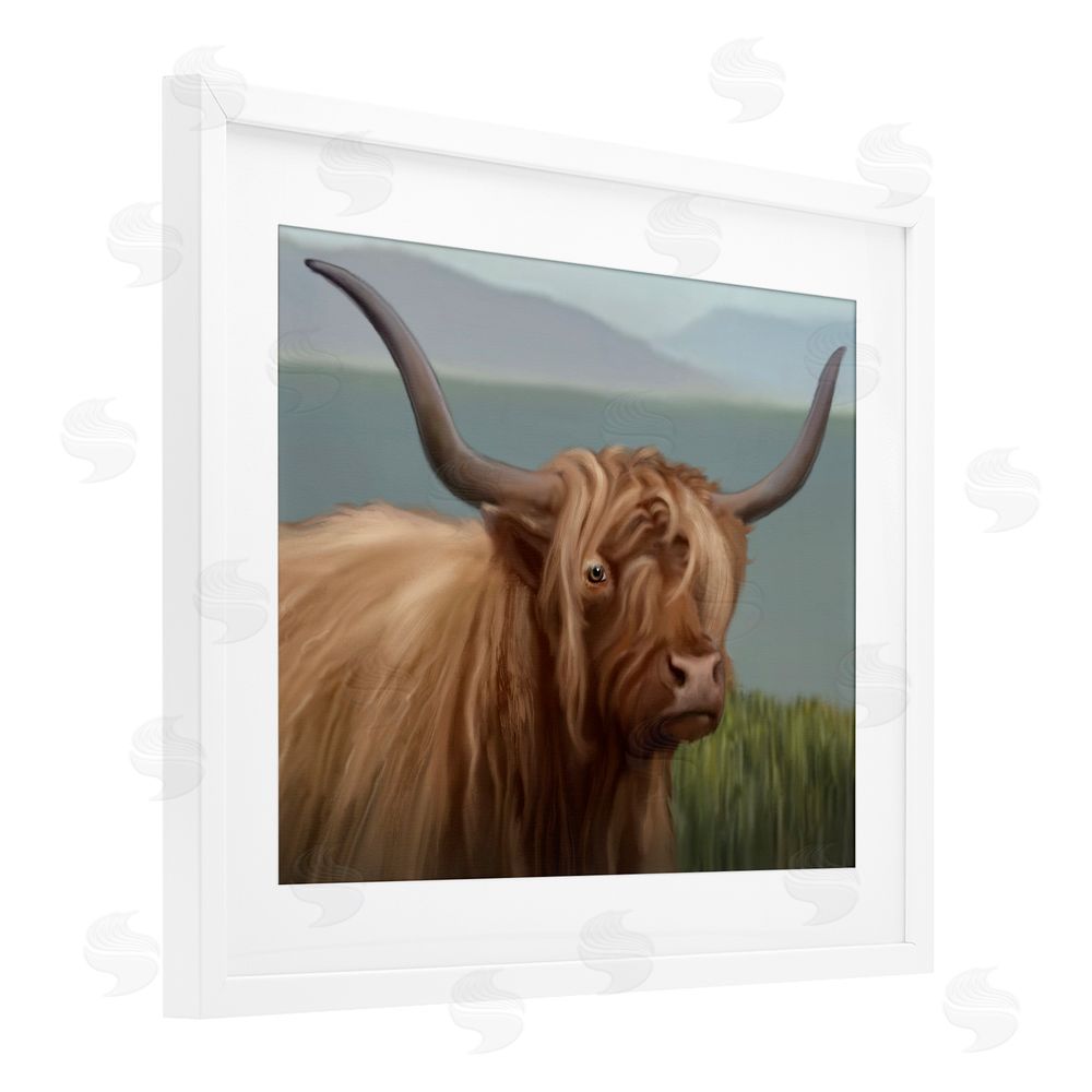 Matthew Piotrowicz Scottish Highland Cattle Landscape White Framed Print Under Glass Wall Art