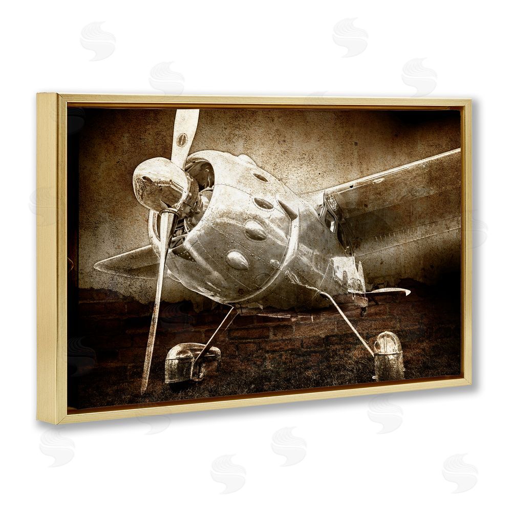 Kim Allen Taking Flight Vintage Gold Floating Frame Canvas Wall Art Print