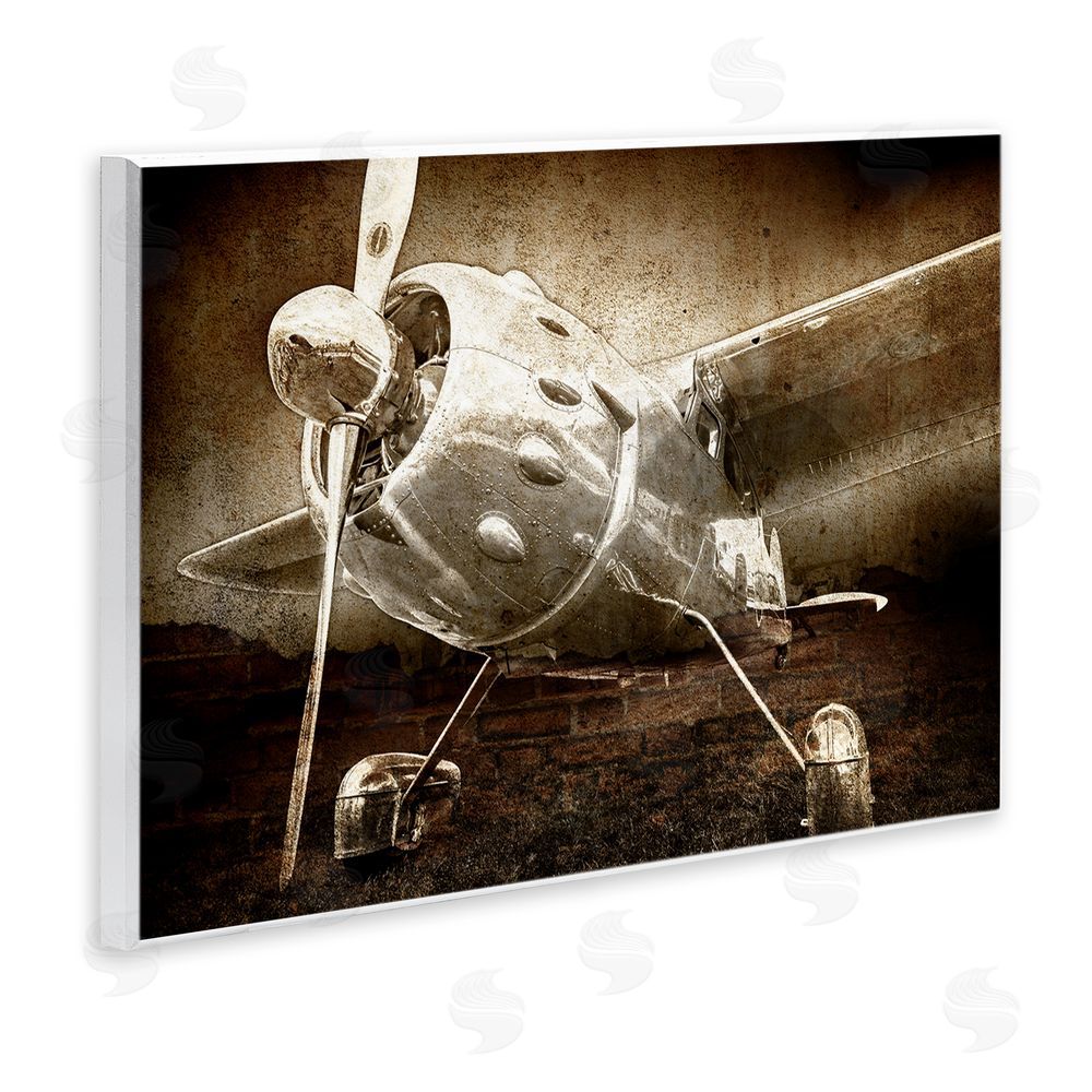 Kim Allen Taking Flight Vintage Wooden Wall Plaque Art Print
