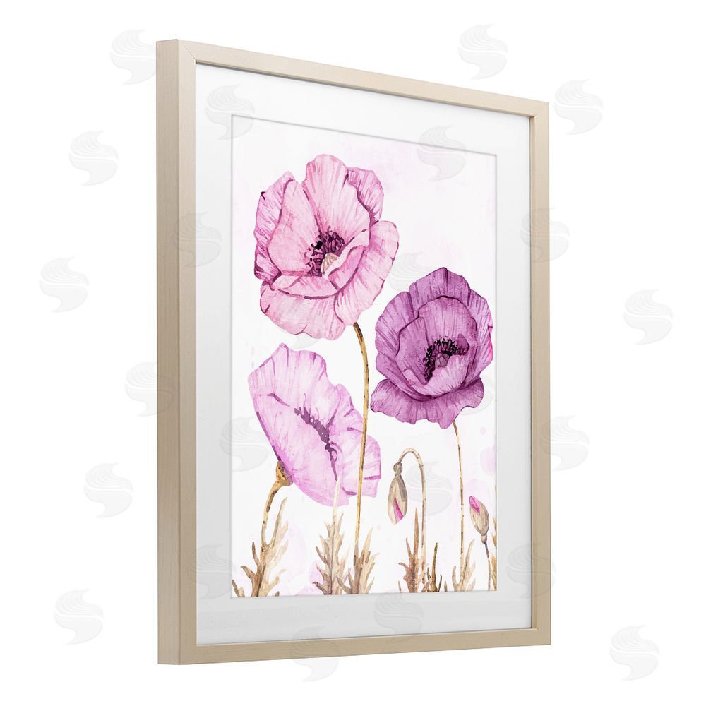 Kim Allen Bright Poppies in Purple Brown Framed Print Under Glass Wall Art