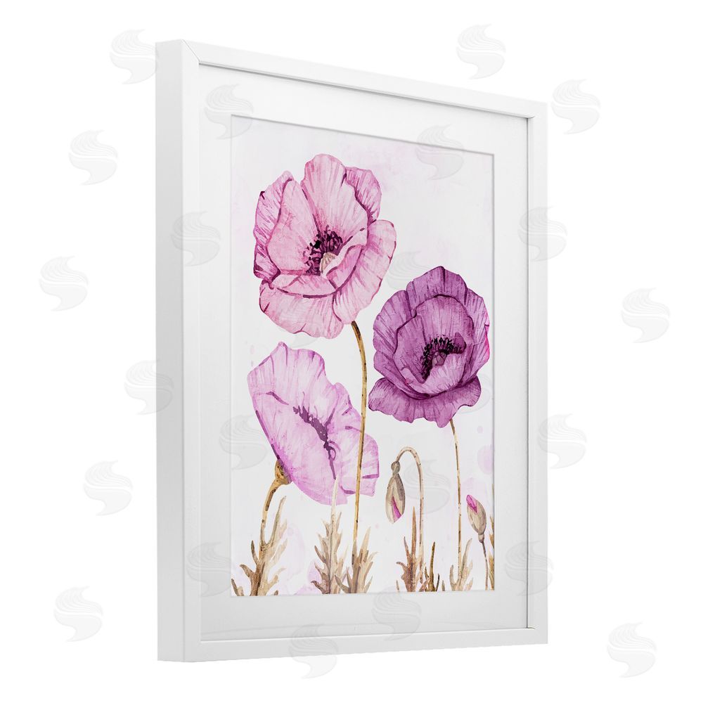 Kim Allen Bright Poppies in Purple White Framed Print Under Glass Wall Art