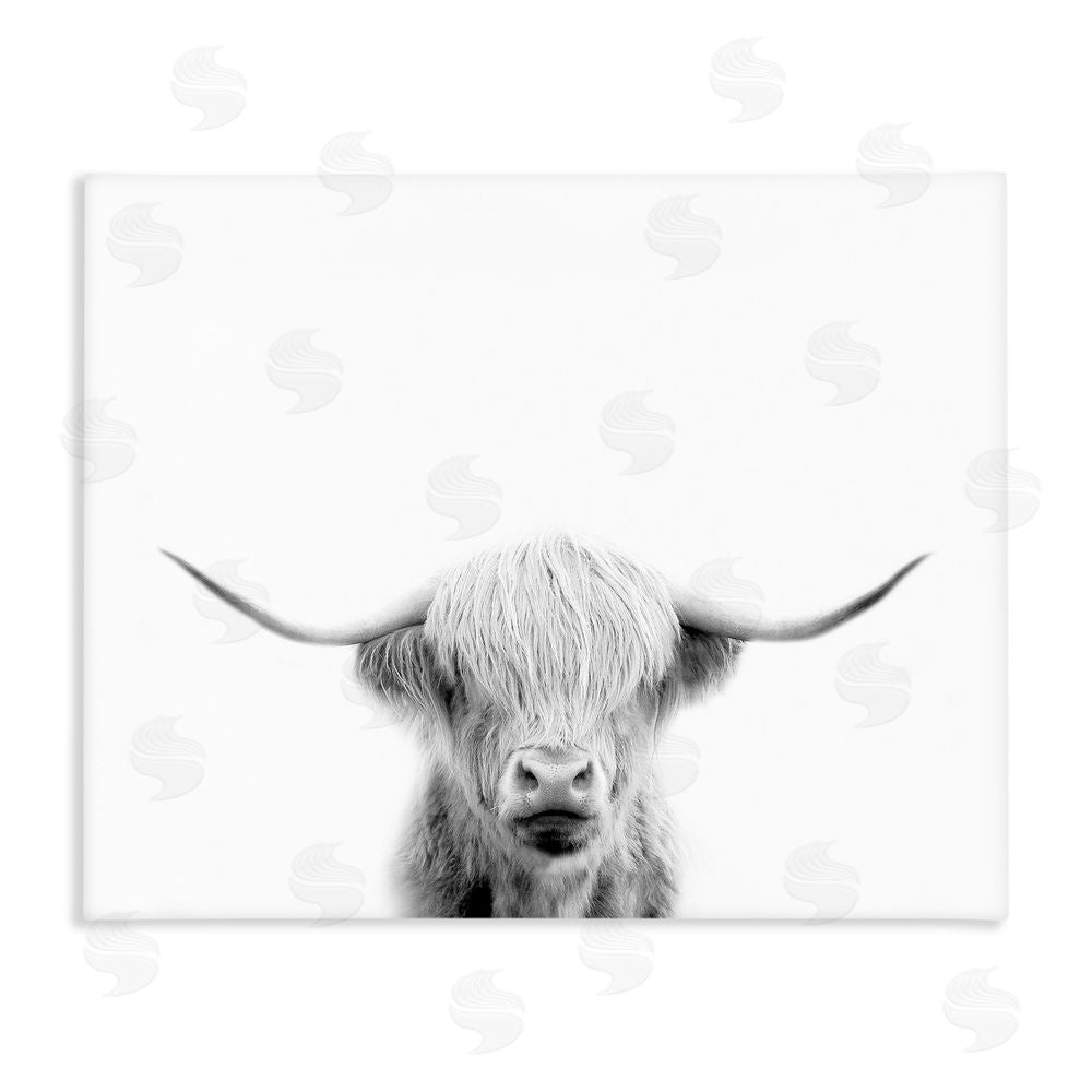 Leah Straatsma Scottish Cow Portrait Stretched Canvas Wall Art Print