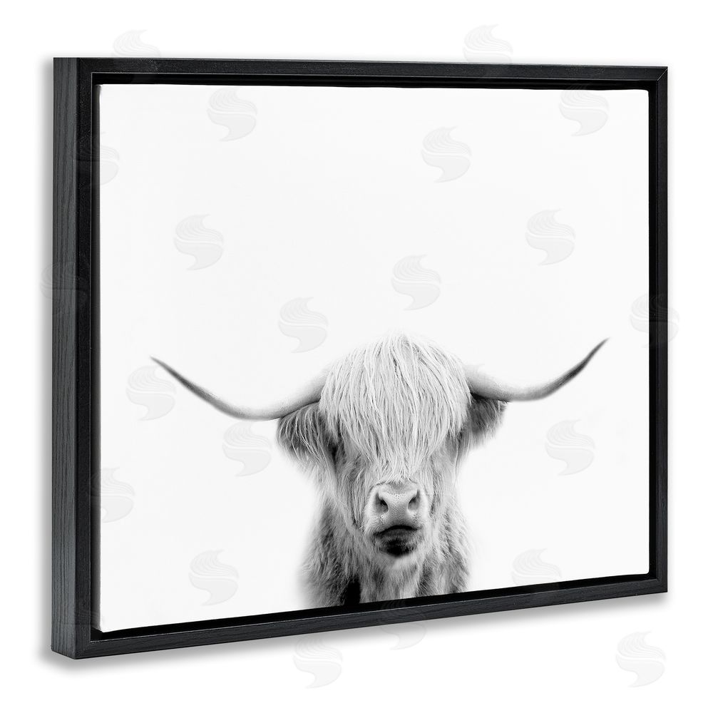 Leah Straatsma Scottish Cow Portrait Black Floating Frame Canvas Wall Art Print