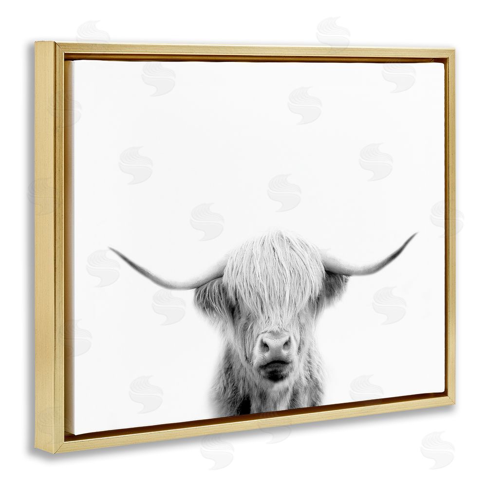 Leah Straatsma Scottish Cow Portrait Gold Floating Frame Canvas Wall Art Print