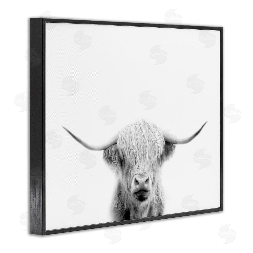Leah Straatsma Scottish Cow Portrait Black Framed Giclee Wall Art Print