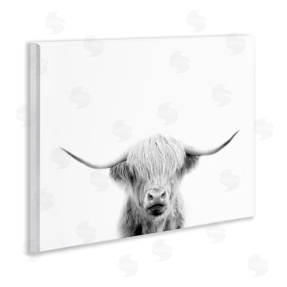 Leah Straatsma Scottish Cow Portrait Wooden Wall Plaque Art Print