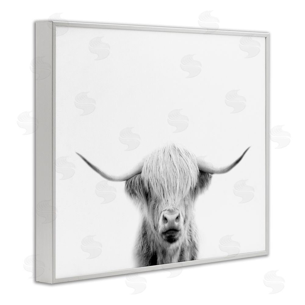 Leah Straatsma Scottish Cow Portrait White Framed Giclee Wall Art Print