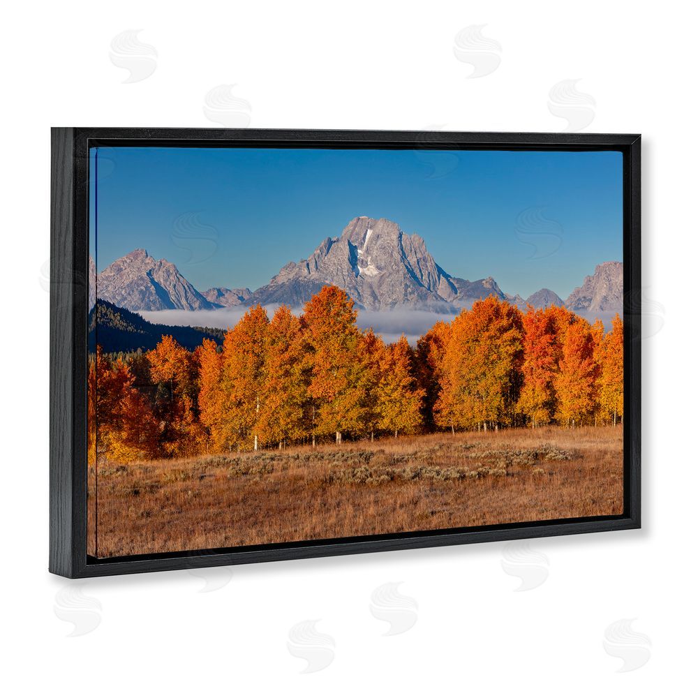 Shelley Carlisle Autumn Tree Line With Mountain Black Floating Frame Canvas Wall Art Print
