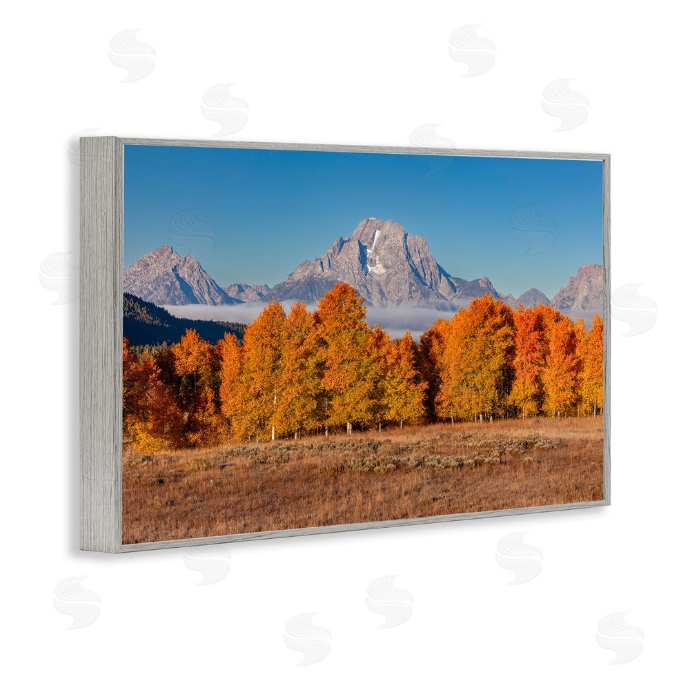 Shelley Carlisle Autumn Tree Line With Mountain Gray Framed Giclee Print Wall Art
