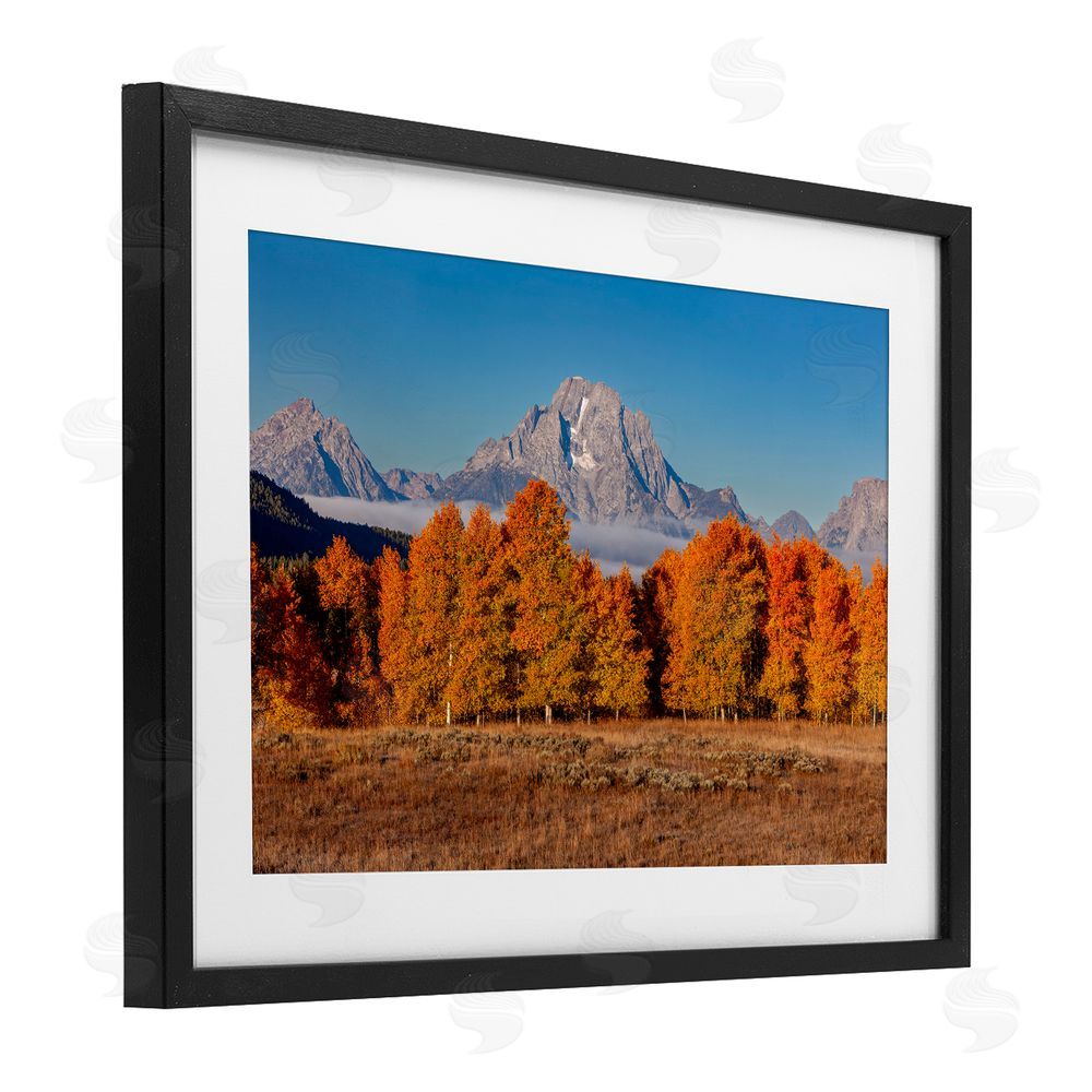 Shelley Carlisle Autumn Tree Line With Mountain Black Framed Print Under Glass Wall Art