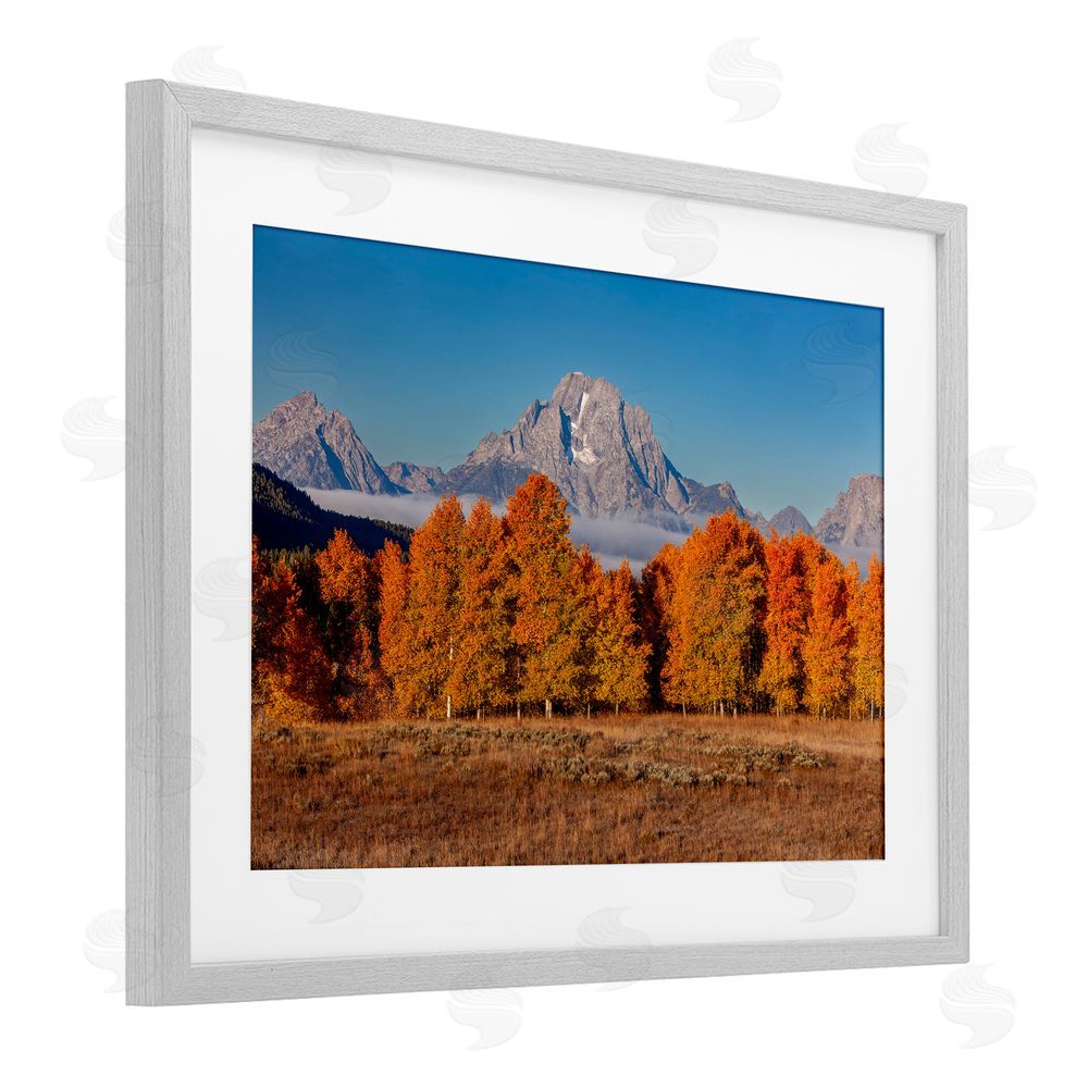 Shelley Carlisle Autumn Tree Line With Mountain Gray Framed Print Under Glass Wall Art