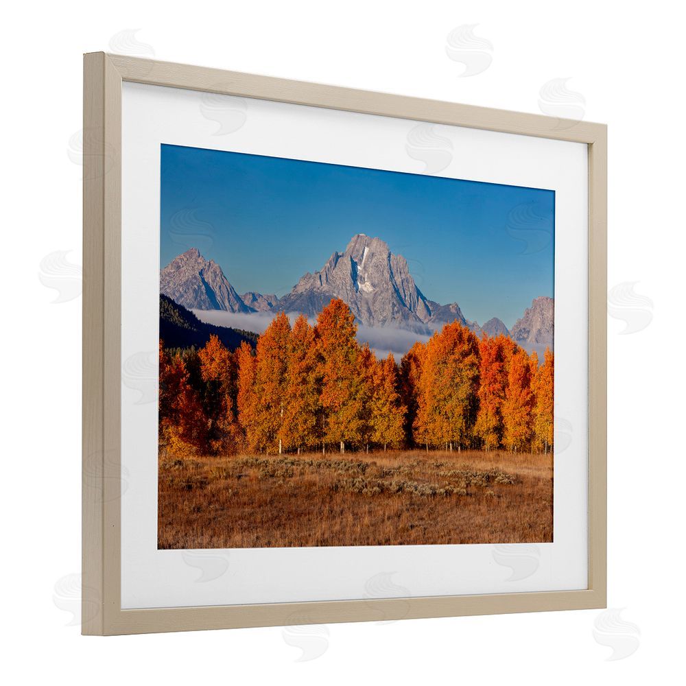 Shelley Carlisle Autumn Tree Line With Mountain Brown Framed Print Under Glass Wall Art