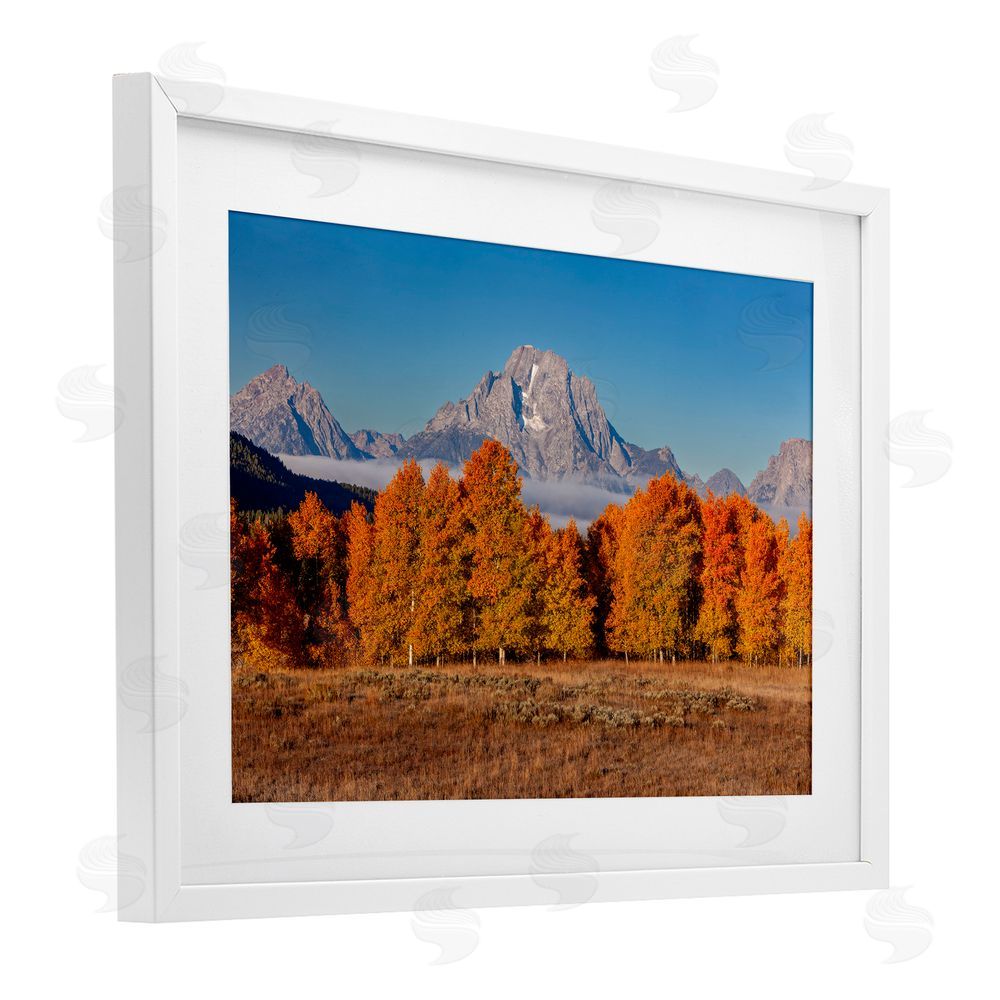 Shelley Carlisle Autumn Tree Line With Mountain White Framed Print Under Glass Wall Art