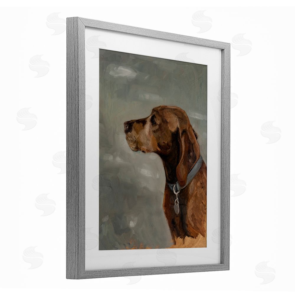 Marian Parsons Brown Hound with Collar Gray Framed Print Under Glass Wall Art