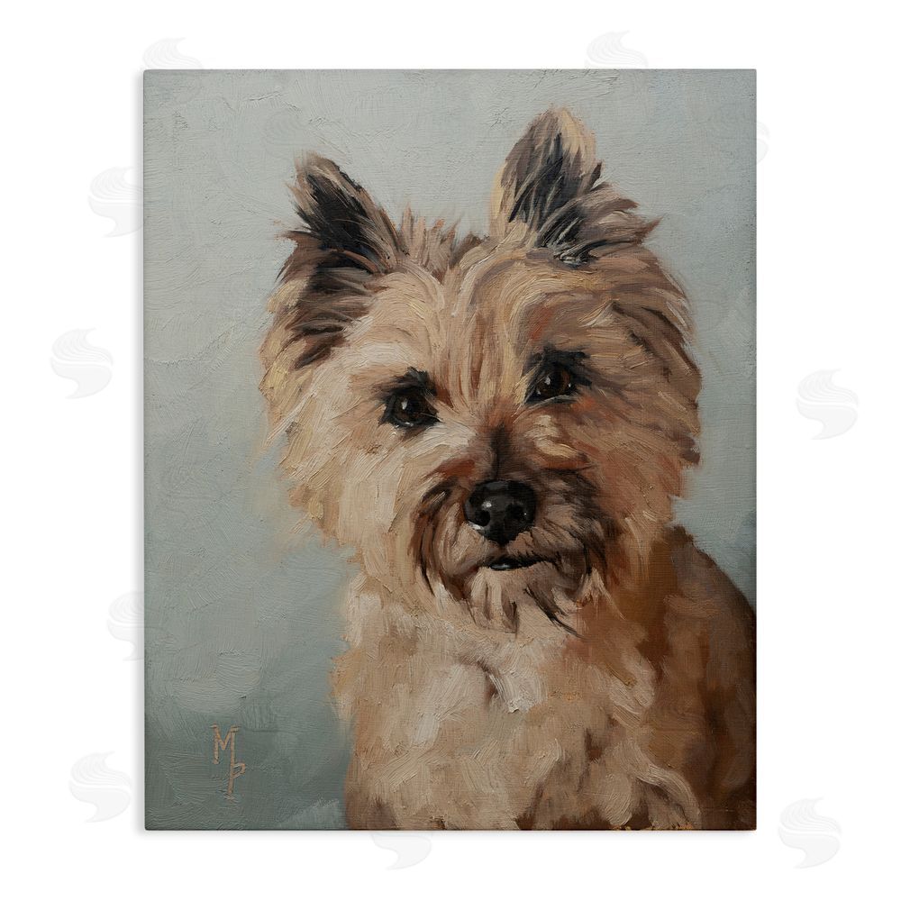 Marian Parsons Cairn Terrier Portrait Stretched Canvas Wall Art Print