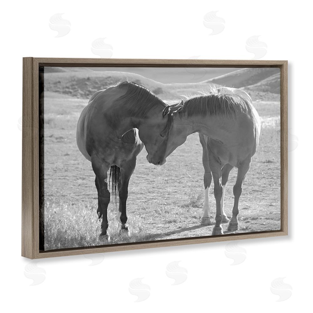 Steve Toole Sweet Nothings Bond Between Horses Brown Floating Frame Canvas Wall Art Print