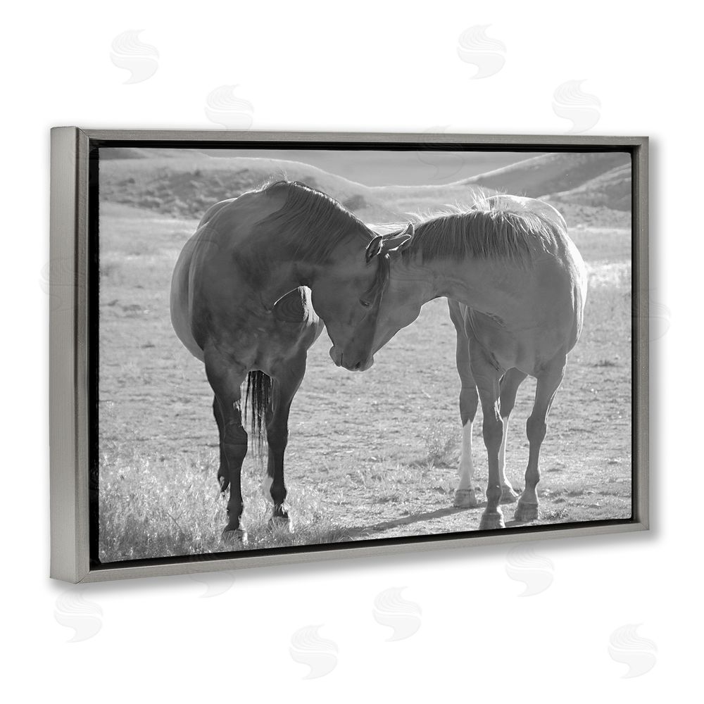 Steve Toole Sweet Nothings Bond Between Horses Gray Floating Frame Canvas Wall Art Print